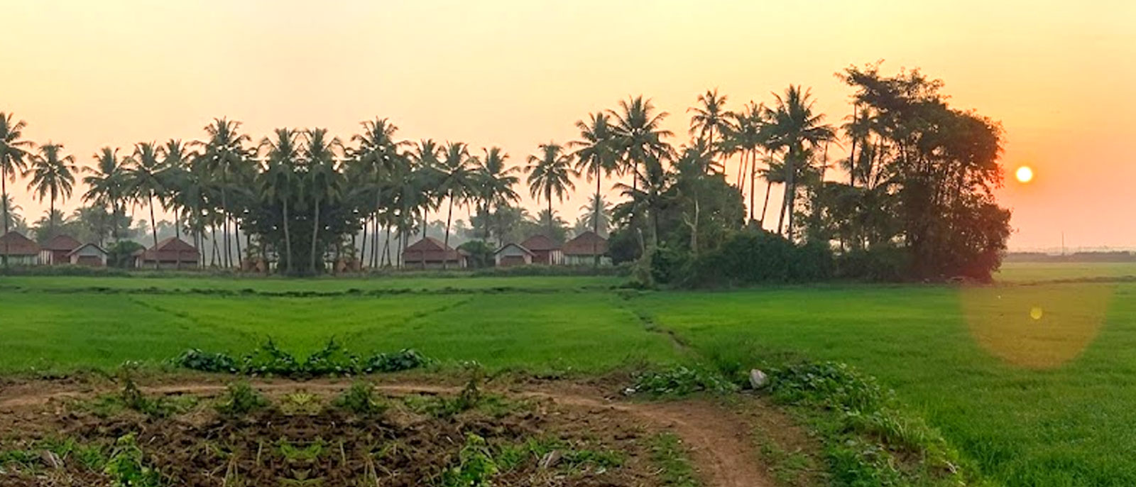 Kerala Ashrama Landscape